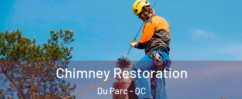  Chimney Restoration Du Parc - QC
