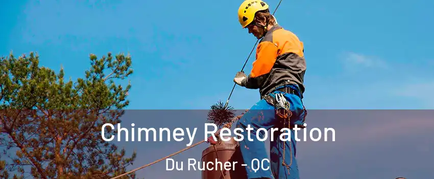  Chimney Restoration Du Rucher - QC
