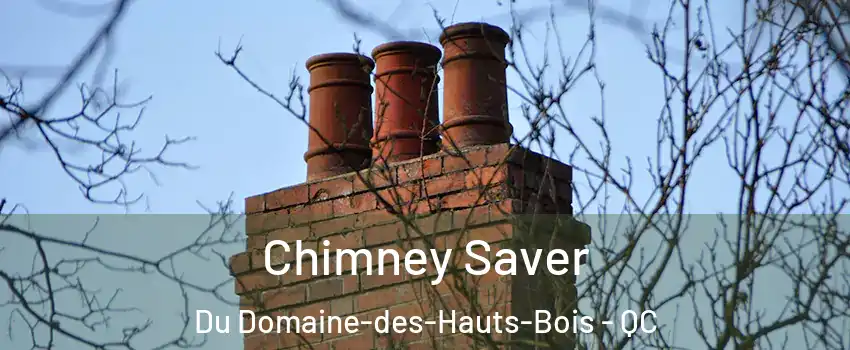  Chimney Saver Du Domaine-des-Hauts-Bois - QC