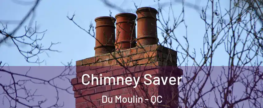  Chimney Saver Du Moulin - QC