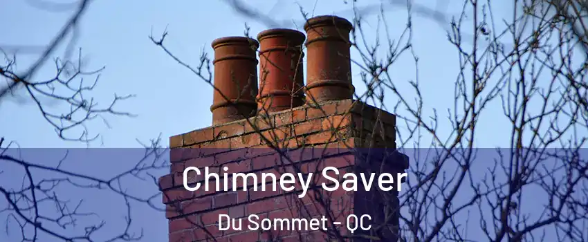 Chimney Saver Du Sommet - QC