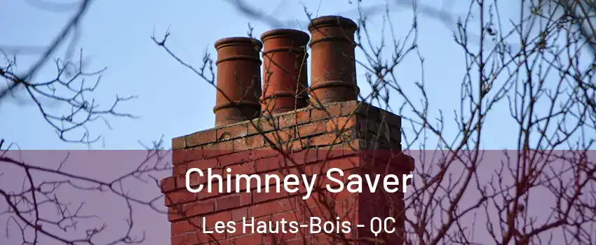  Chimney Saver Les Hauts-Bois - QC