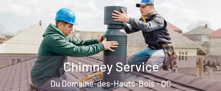  Chimney Service Du Domaine-des-Hauts-Bois - QC