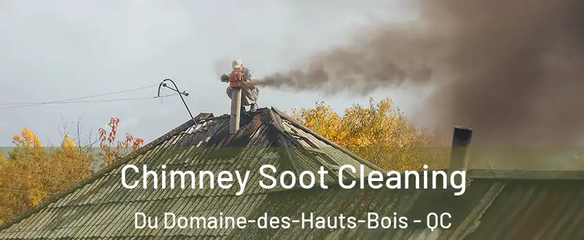  Chimney Soot Cleaning Du Domaine-des-Hauts-Bois - QC