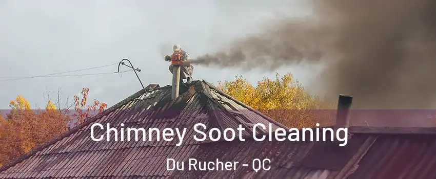  Chimney Soot Cleaning Du Rucher - QC