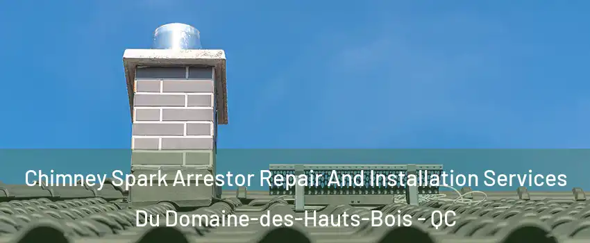  Chimney Spark Arrestor Repair And Installation Services Du Domaine-des-Hauts-Bois - QC
