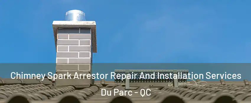  Chimney Spark Arrestor Repair And Installation Services Du Parc - QC