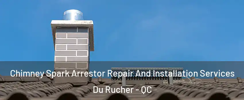  Chimney Spark Arrestor Repair And Installation Services Du Rucher - QC