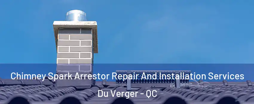  Chimney Spark Arrestor Repair And Installation Services Du Verger - QC