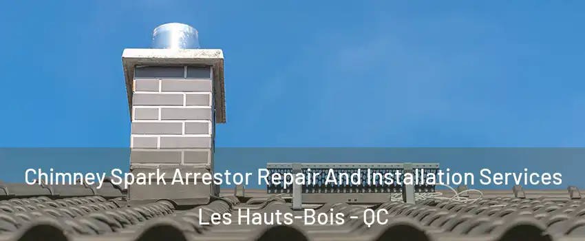  Chimney Spark Arrestor Repair And Installation Services Les Hauts-Bois - QC