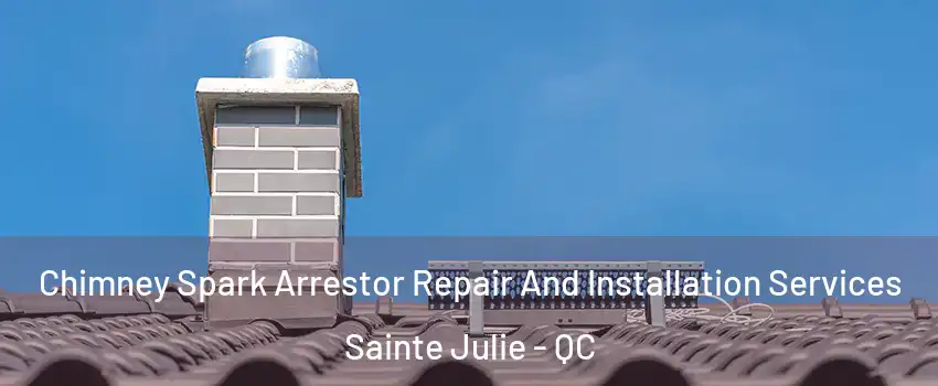  Chimney Spark Arrestor Repair And Installation Services Sainte Julie - QC