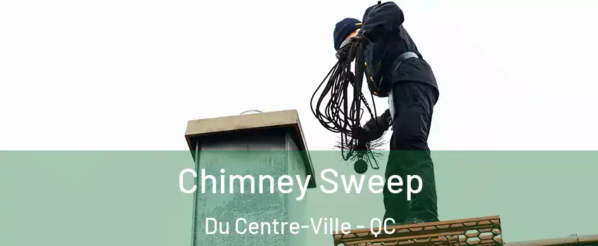  Chimney Sweep Du Centre-Ville - QC