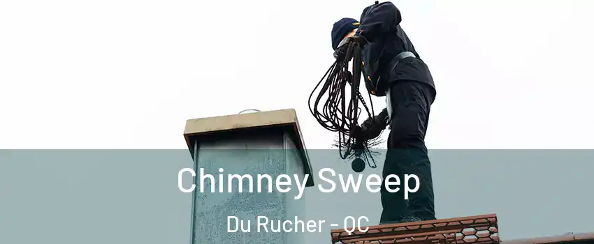  Chimney Sweep Du Rucher - QC