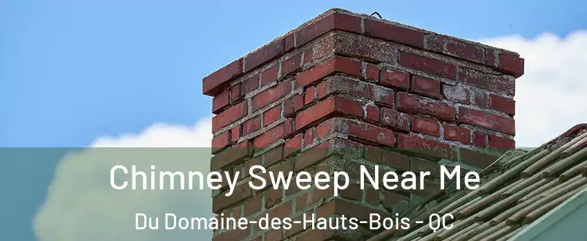  Chimney Sweep Near Me Du Domaine-des-Hauts-Bois - QC