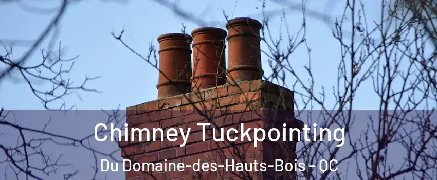  Chimney Tuckpointing Du Domaine-des-Hauts-Bois - QC