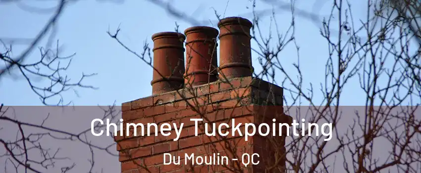  Chimney Tuckpointing Du Moulin - QC