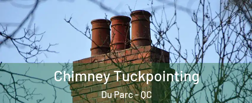  Chimney Tuckpointing Du Parc - QC