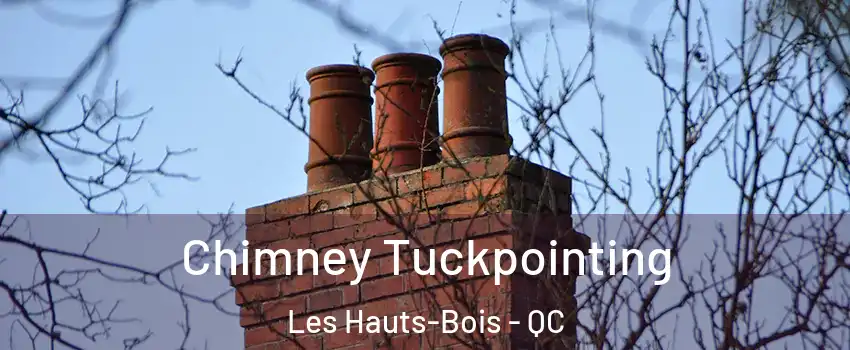  Chimney Tuckpointing Les Hauts-Bois - QC