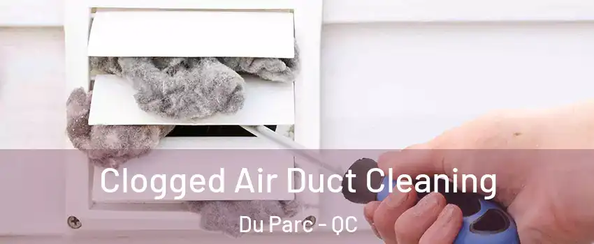  Clogged Air Duct Cleaning Du Parc - QC