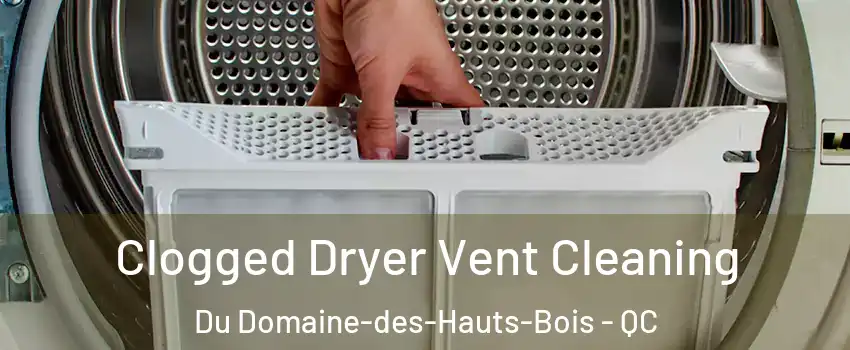  Clogged Dryer Vent Cleaning Du Domaine-des-Hauts-Bois - QC