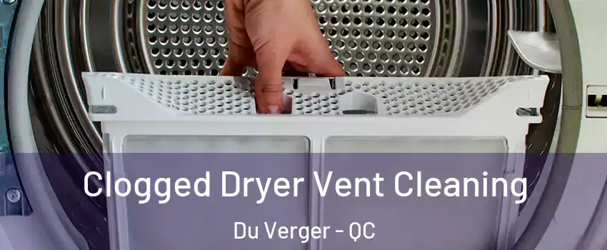  Clogged Dryer Vent Cleaning Du Verger - QC