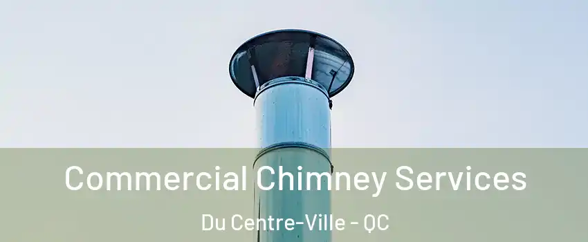  Commercial Chimney Services Du Centre-Ville - QC