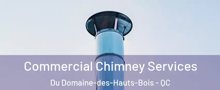  Commercial Chimney Services Du Domaine-des-Hauts-Bois - QC
