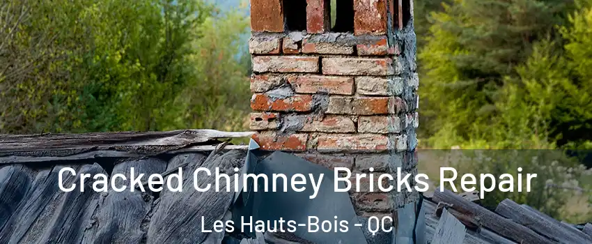  Cracked Chimney Bricks Repair Les Hauts-Bois - QC