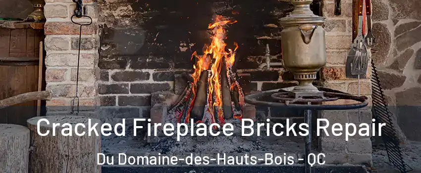  Cracked Fireplace Bricks Repair Du Domaine-des-Hauts-Bois - QC