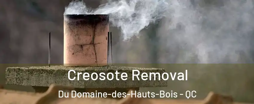  Creosote Removal Du Domaine-des-Hauts-Bois - QC