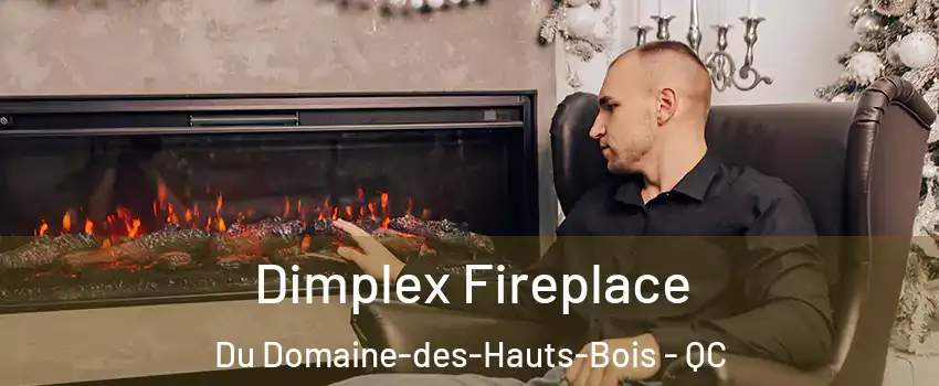  Dimplex Fireplace Du Domaine-des-Hauts-Bois - QC