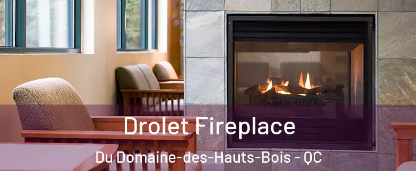  Drolet Fireplace Du Domaine-des-Hauts-Bois - QC