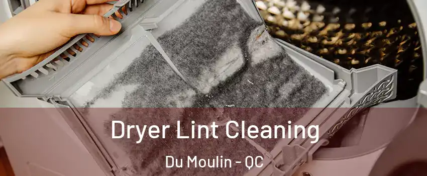  Dryer Lint Cleaning Du Moulin - QC