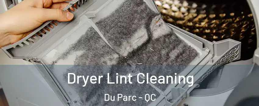  Dryer Lint Cleaning Du Parc - QC