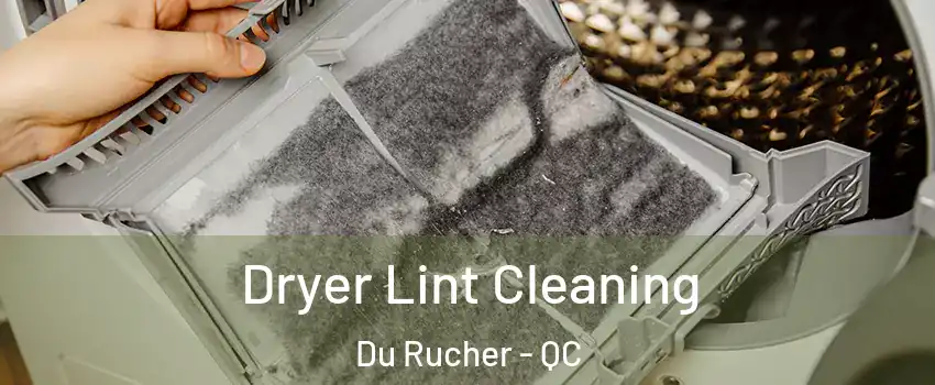  Dryer Lint Cleaning Du Rucher - QC