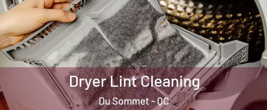  Dryer Lint Cleaning Du Sommet - QC