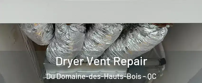  Dryer Vent Repair Du Domaine-des-Hauts-Bois - QC