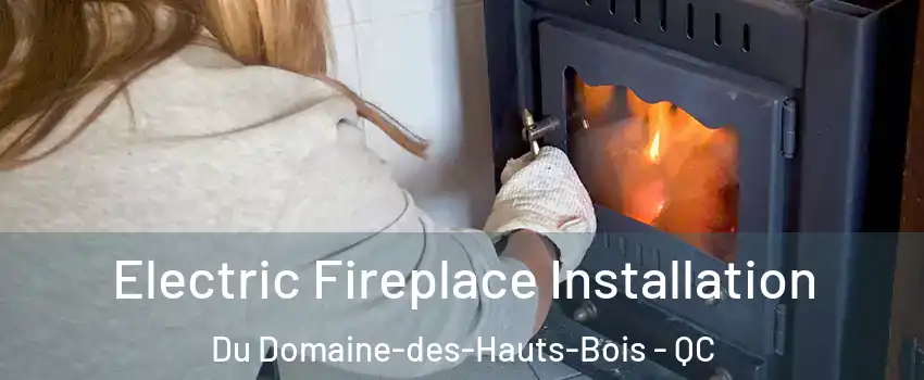  Electric Fireplace Installation Du Domaine-des-Hauts-Bois - QC