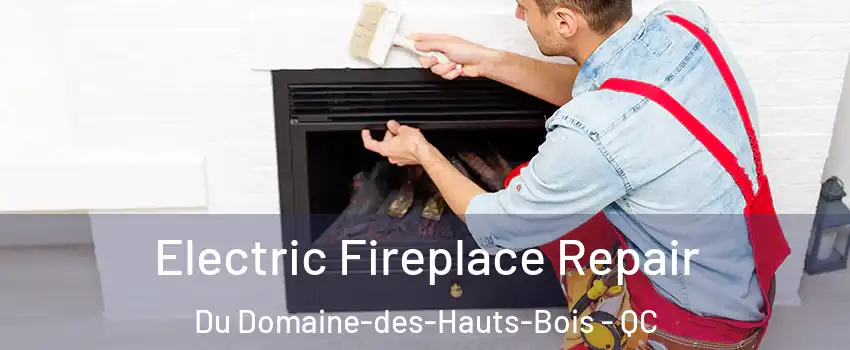  Electric Fireplace Repair Du Domaine-des-Hauts-Bois - QC