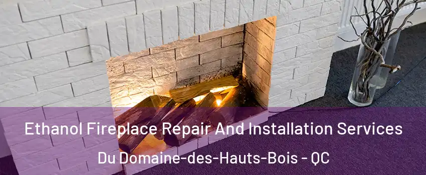  Ethanol Fireplace Repair And Installation Services Du Domaine-des-Hauts-Bois - QC