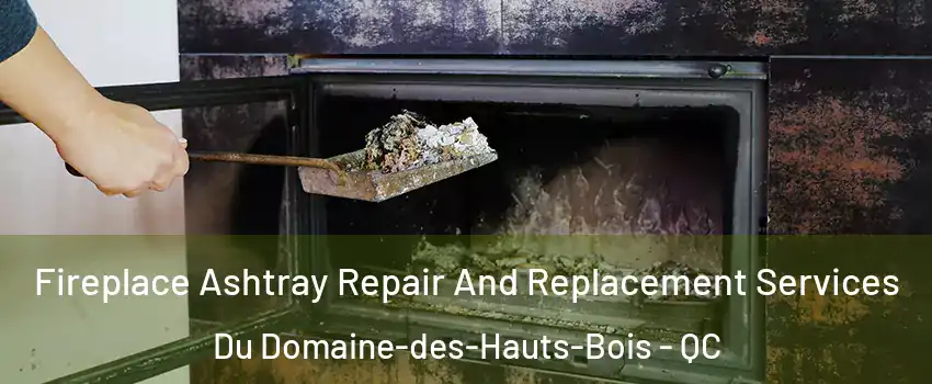  Fireplace Ashtray Repair And Replacement Services Du Domaine-des-Hauts-Bois - QC