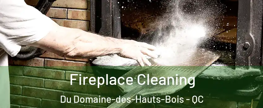  Fireplace Cleaning Du Domaine-des-Hauts-Bois - QC