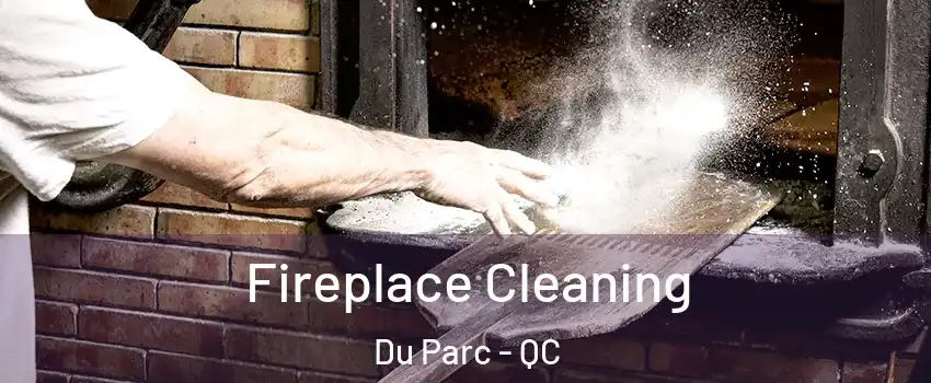  Fireplace Cleaning Du Parc - QC