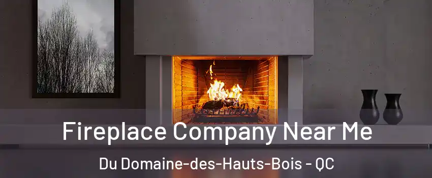  Fireplace Company Near Me Du Domaine-des-Hauts-Bois - QC
