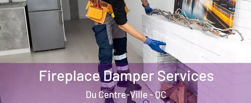  Fireplace Damper Services Du Centre-Ville - QC