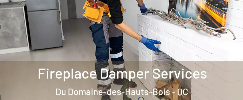  Fireplace Damper Services Du Domaine-des-Hauts-Bois - QC