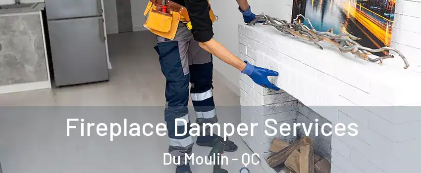  Fireplace Damper Services Du Moulin - QC