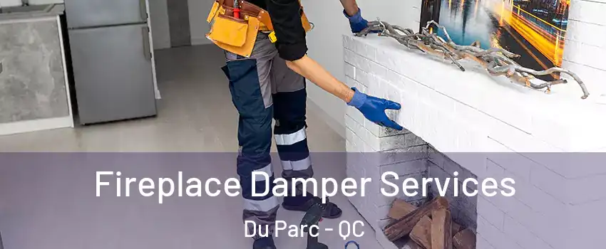  Fireplace Damper Services Du Parc - QC