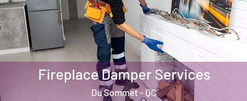  Fireplace Damper Services Du Sommet - QC