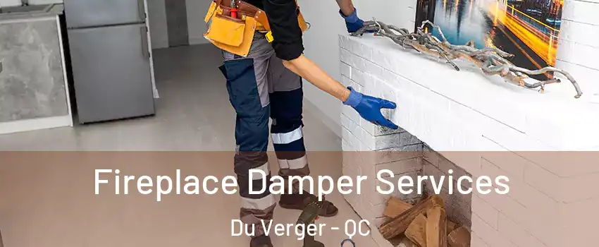  Fireplace Damper Services Du Verger - QC